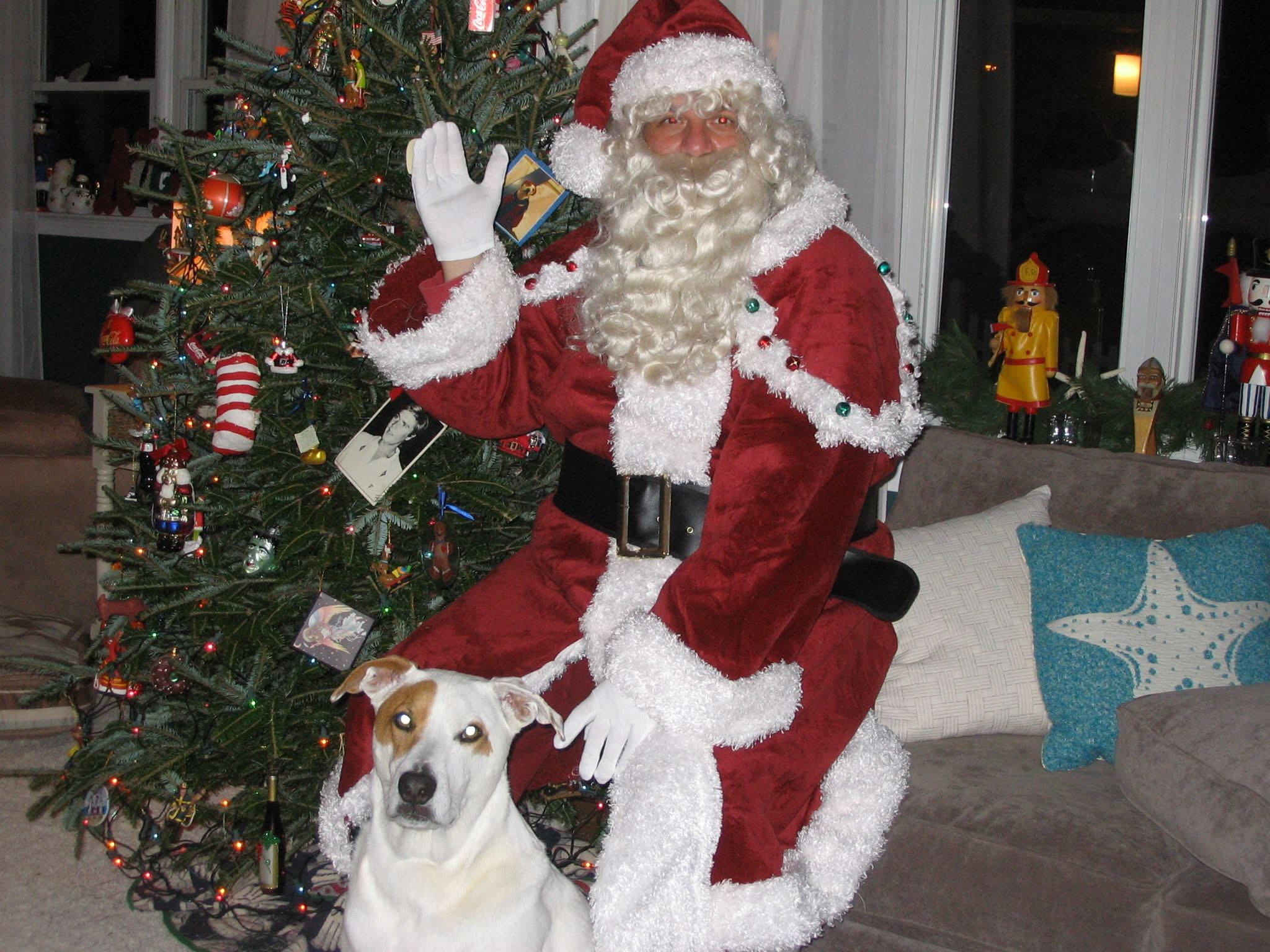 Young Holiday Santa Claus